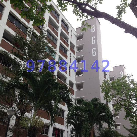 Blk 866 Tampines Street 83 (Tampines), HDB 4 Rooms #12696922
